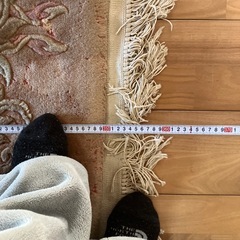段通カーペット⭐︎特大サイズの画像