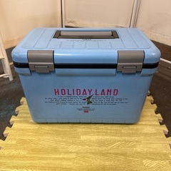 シンワ HOLIDAY LAND クーラーボックス