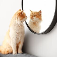 外見コンプレックスに悩む人へ ～ 自分磨きから始める人生改革
