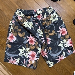 海パンの画像