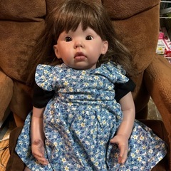 どーる