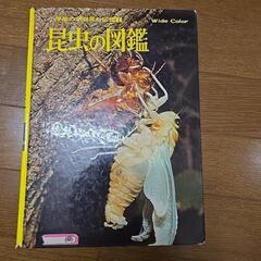 学研 オールカラー図鑑 3冊セットの画像