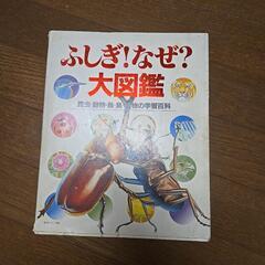学研 オールカラー図鑑 3冊セットの画像
