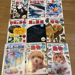 小学館の図鑑NEO ハッピーセットのおまけ