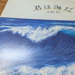 （中古EPレコード）君は海だ−小椋佳