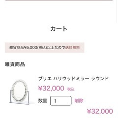 値下げ不可　女優ミラーの画像