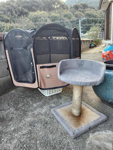 子猫用サークルとキャットタワー小