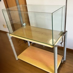 値引きしました。
ADA  90cmガラス水槽  の画像