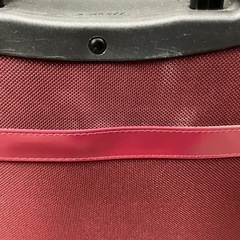 ☆値下げ☆O 2503-303 スワニー コンフォルテ ソフトキャリーケース キズ 汚れありの画像