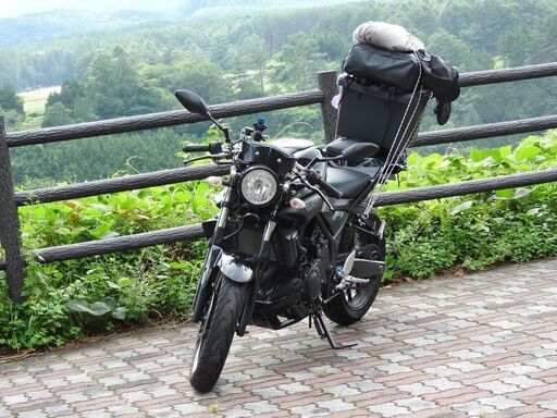 yamaha mt03　バイク車体