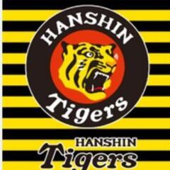 2025年阪神タイガース甲子園チケット　4月10日