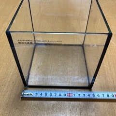 ベタ水槽 小型水槽