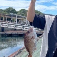 『明石中心』釣り仲間募集 − 兵庫県
