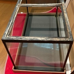 【差し上げる方、決まりました】90㎝水槽の画像