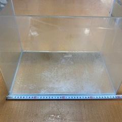 40cm 曲げガラス水槽
