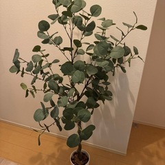 フェイクグリーン