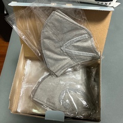 アイリス　デイリーフィットマスク　100枚入りの画像