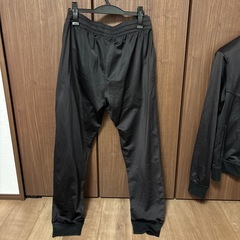 アルマーニジャージ
の画像