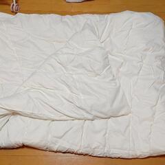 [出品は20日まで]ニトリ 温度調整掛け布団 シングル