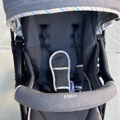 Pigeon ランフィリノンの画像