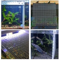 金魚隠れ家シェルター水槽の蓋ネットカバー水槽脱出対策　飛び跳ね防止カバーとクリップのセットの画像