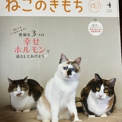 ［手渡し］ねこのきもち　2024年4月号