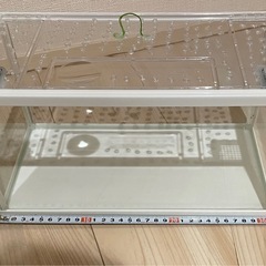 今週末まで！アクリル水槽の画像