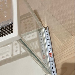 今週末まで！アクリル水槽の画像