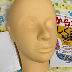 フェイシャル　人形　練習用の画像