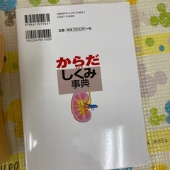 フェイシャル　人形　練習用の画像