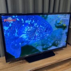 【引渡先決定】2017年製　シャープ 32v型テレビ