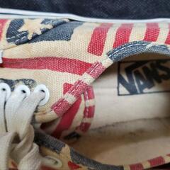 VANS (レディーススニーカ)

サイズ... 23.5cmの画像