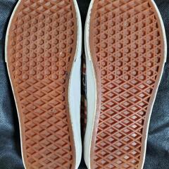VANS (レディーススニーカ)

サイズ... 23.5cmの画像