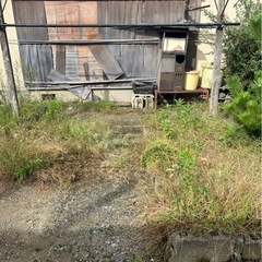 草むしり、草刈、お任せください。