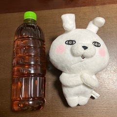 うさぎ100%ぬいぐるみ