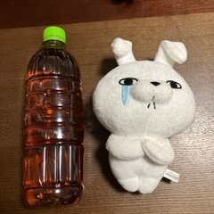うさぎ100%ぬいぐるみ
