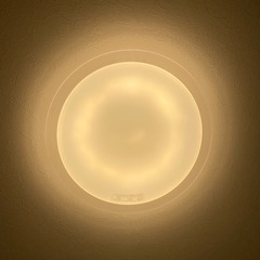 シーリングライト　照明　電気の画像