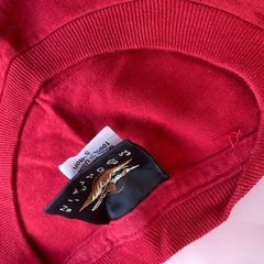 グランドキャニオンTシャツ　使用少ないの画像