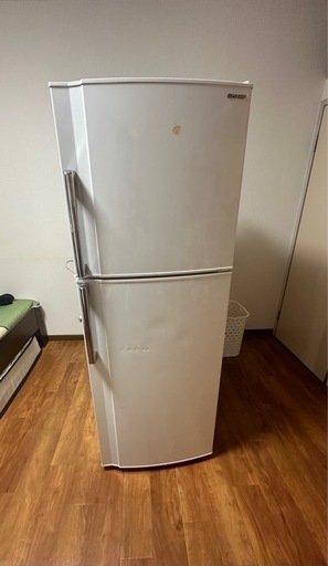 シャップ　冷蔵庫