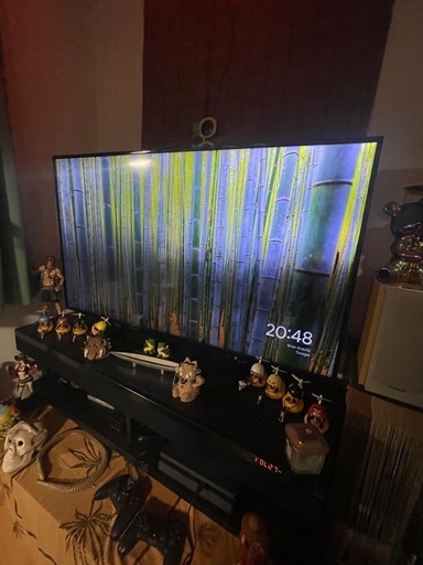 TOSHIBA55インチ液晶テレビ