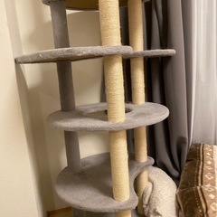 楽天市場】キャットタワー 中古の通販