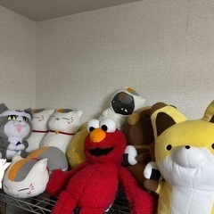 【相談中】ぬいぐるみセット
