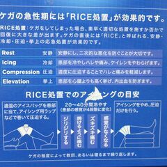 バレーボール西田有志選手 愛用ブランド ザムスト ZAMST アイシング 氷嚢(氷のう) アイスバッグ Mサイズ 未使用品です。の画像