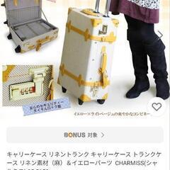 衣装ケース　中古　きれい