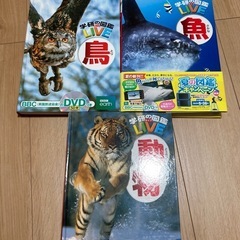 図鑑