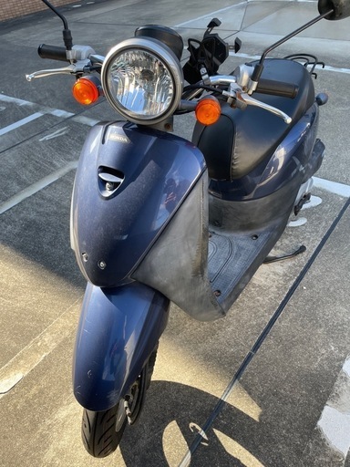 原付　ホンダ TODAY