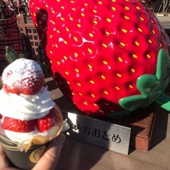 ツーリングメンバー募集中のお知らせ − 群馬県