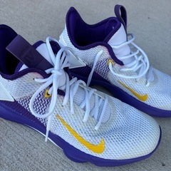 ナイキ メンズ レブロン ウィットネス４ Nike LeBron バッシュ　レイカーズの画像