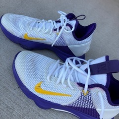 ナイキ メンズ レブロン ウィットネス４ Nike LeBron バッシュ　レイカーズの画像