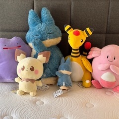 ポケモンぬいぐるみ